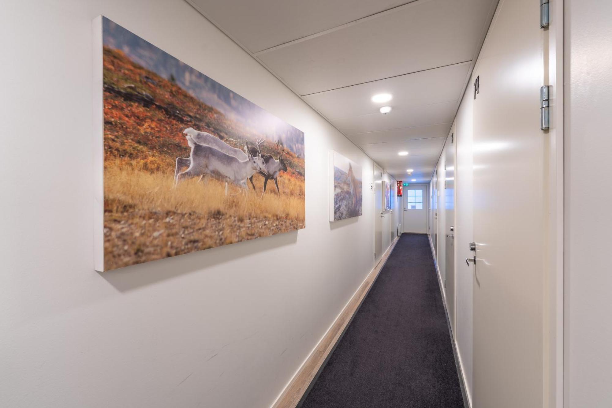 Kuukkeli Saariselkae Inn Buitenkant foto